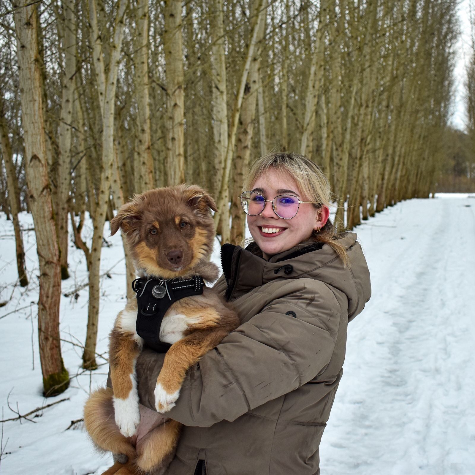 80d60a22-e1f4-4f64-b1b4-4b4554503338